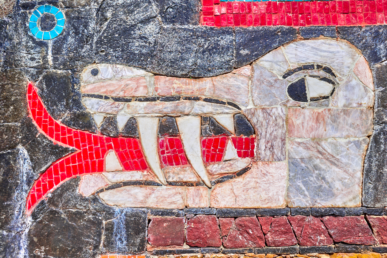 Diego Rivera - DSC02790 - ene 15 2025.png